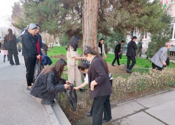 Саҳми ман дар Шаҳри ман