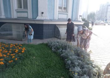 Ҳашари тозакорӣ